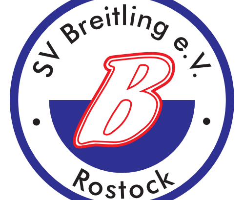 Drachenbootstudie 2017