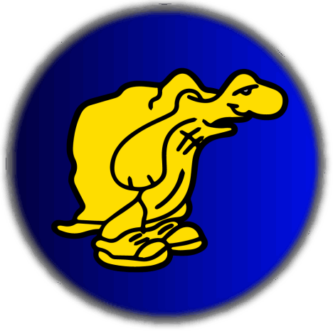 Yellow Turtles